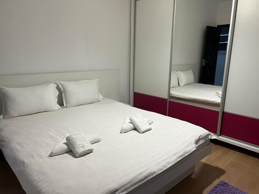 Tudor Central Apartment Mihai Viteazu Square Κλουζ-Ναπόκα Εξωτερικό φωτογραφία