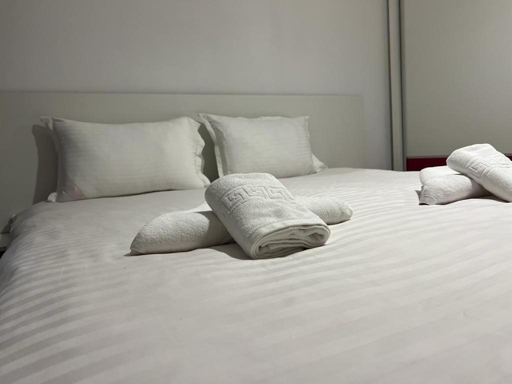 Tudor Central Apartment Mihai Viteazu Square Κλουζ-Ναπόκα Εξωτερικό φωτογραφία